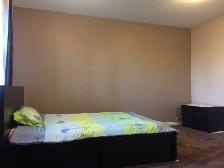 Beautiful Walking out Basement $1250 - Photo 6