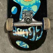 globe skateboard
