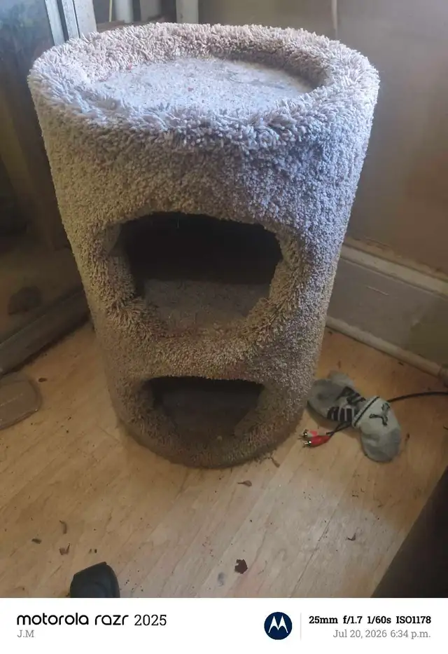 cat condo obo