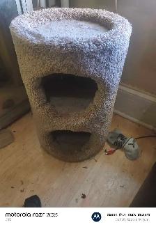 cat condo obo