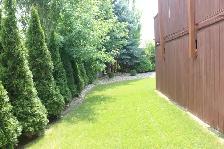 House in Steinbach - Photo 3