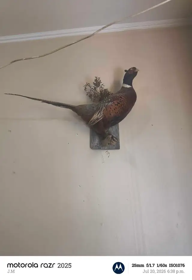 house decor