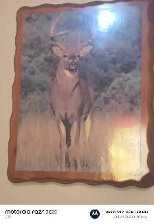 house decor - Photo 2