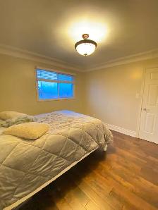 Cosy Room For Rent Richmond Hill - Good Transport Links - Photo 10