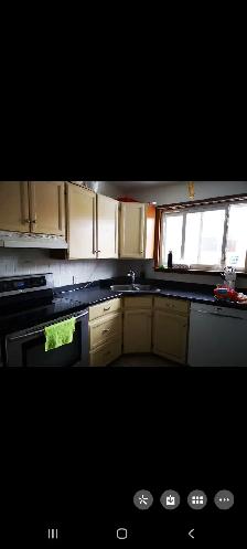 Room for rent (near Fanshawe college) - Photo 5