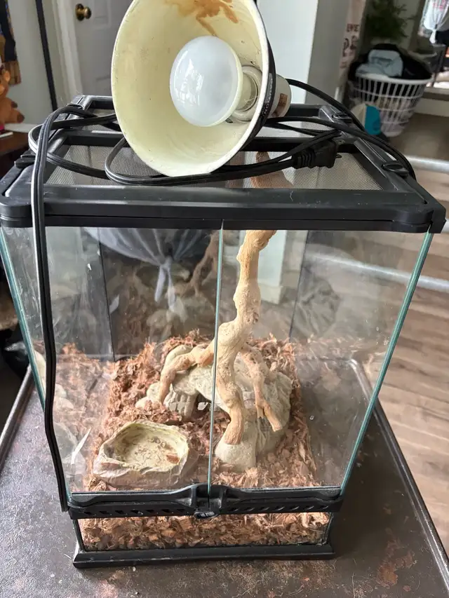 Critter tank
