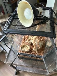 Critter tank - Photo 3
