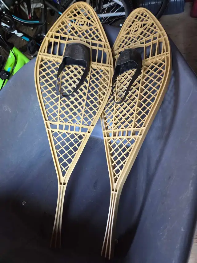 Raquette à neige