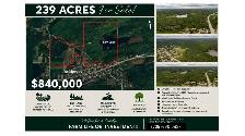 239 Acres • Private Lily Lake • Webbwood, Ontario - Photo 15
