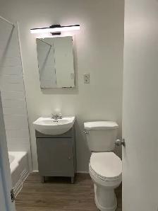 Lachine Apartment - Photo 3