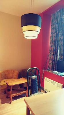 Belle chambre meublée avec salle de bain privé  $750 Berri-UQAM - Photo 9