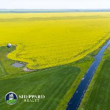8 Qtrs | R.M. of Scott # 98 | Lewvan & Yellow Grass, SK Area - Photo 2