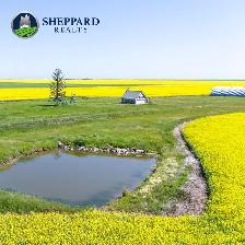 8 Qtrs | R.M. of Scott # 98 | Lewvan & Yellow Grass, SK Area - Photo 3