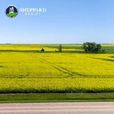 8 Qtrs | R.M. of Scott # 98 | Lewvan & Yellow Grass, SK Area - Photo 4