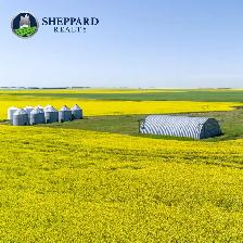 8 Qtrs | R.M. of Scott # 98 | Lewvan & Yellow Grass, SK Area - Photo 5