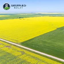 8 Qtrs | R.M. of Scott # 98 | Lewvan & Yellow Grass, SK Area - Photo 6