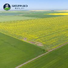 8 Qtrs | R.M. of Scott # 98 | Lewvan & Yellow Grass, SK Area - Photo 7