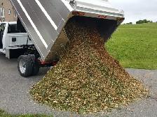 FREE MULCH - Photo 2