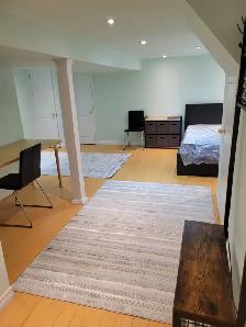 Toronto 1 Bed 1 Bath Apartment - Photo 4
