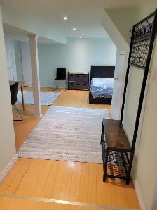 Toronto 1 Bed 1 Bath Apartment - Photo 6