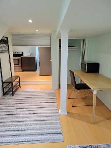 Toronto 1 Bed 1 Bath Apartment - Photo 9