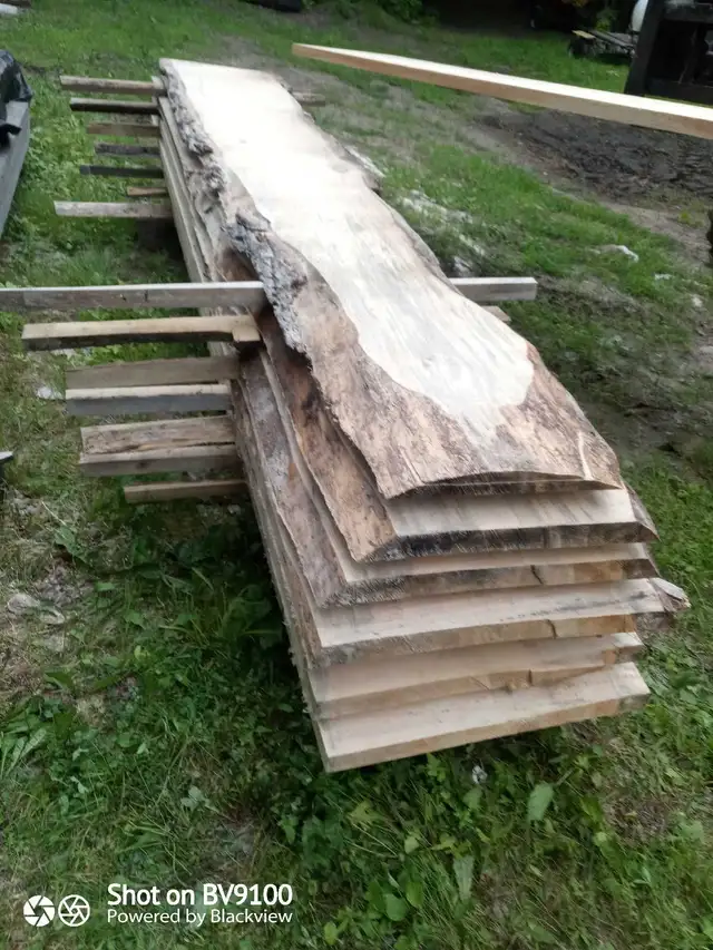 Live edge white pine