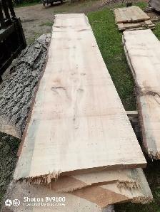 Live edge white pine - Photo 2