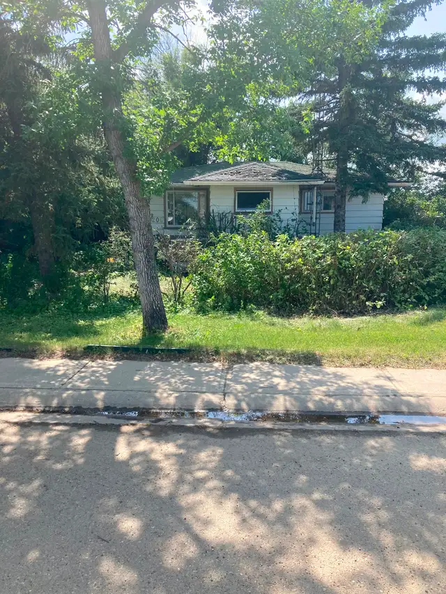 Morrin Alberta House for Sale