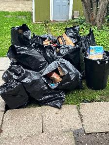 Junk removal/pick up and drop off - Photo 3