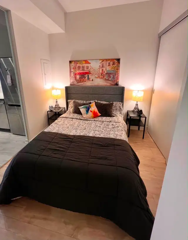 Room for Rent in Downtown Toronto Condo