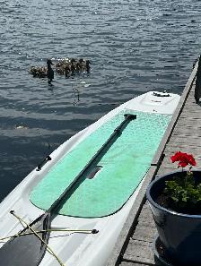Muskoka waterfront - Photo 2