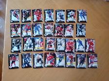 Carte Hockey Pinnacle Team 2000 Canadien 1993-94 Série120726-331