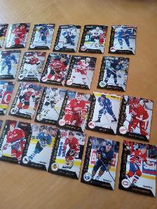 Carte Hockey Pinnacle Team 2000 Canadien 1993-94 Série120726-331 - Photo 3