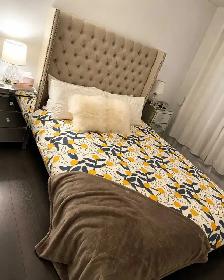 1 Bedroom in Griffintown - All inclusive Available August 1st - Photo 3