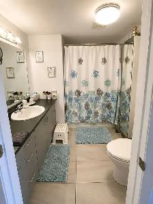 1 Bedroom in Griffintown - All inclusive Available August 1st - Photo 4