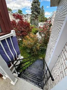2 Logements à louer 5 1/2 (Rez de Chaussée) - Photo 27