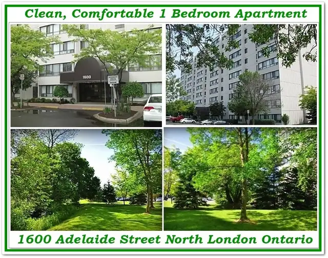 Bright Clean 1 Bedroom Apartment Available at 1600 Adelaide