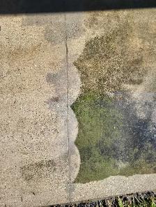 window cleaning - Photo 6
