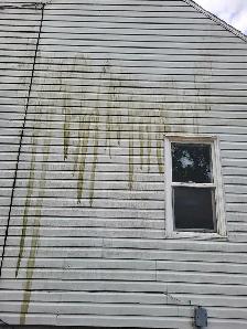 window cleaning - Photo 10