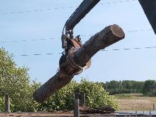 Large PTO Driven Grapple Wood Processor & 5 cord Dump Trailer. - Photo 4