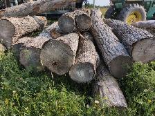 Large PTO Driven Grapple Wood Processor & 5 cord Dump Trailer. - Photo 8