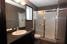 Three Bedroom Upper Suite in Harbour Landing Available Aug.1 - Photo 7
