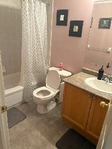 One upper level Room for Rent Brampton (Preffer female) 1st Aug - Photo 4
