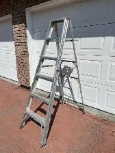 6  Foot    Aluminum Ladder