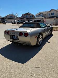 2002 Corvette Convertible - Photo 2
