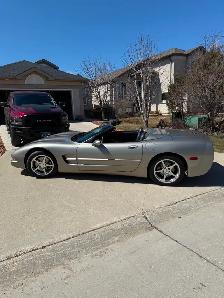 2002 Corvette Convertible - Photo 6