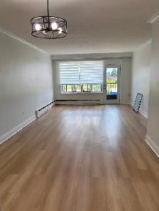 WILSON HEIGHTS AND SHEPPARD AVE - Photo 12