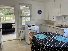 Bright Fully Furnished Bachelor Apt for Rent - Photo 5