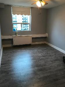 Drywall install & repairs — mud/tape —-painting contractor - Photo 4