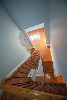 Drywall install & repairs — mud/tape —-painting contractor - Photo 5